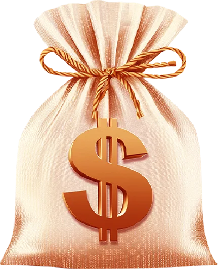 section1-purse.webp